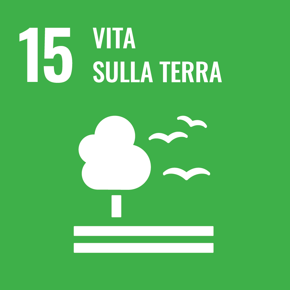 Vita sulla terra