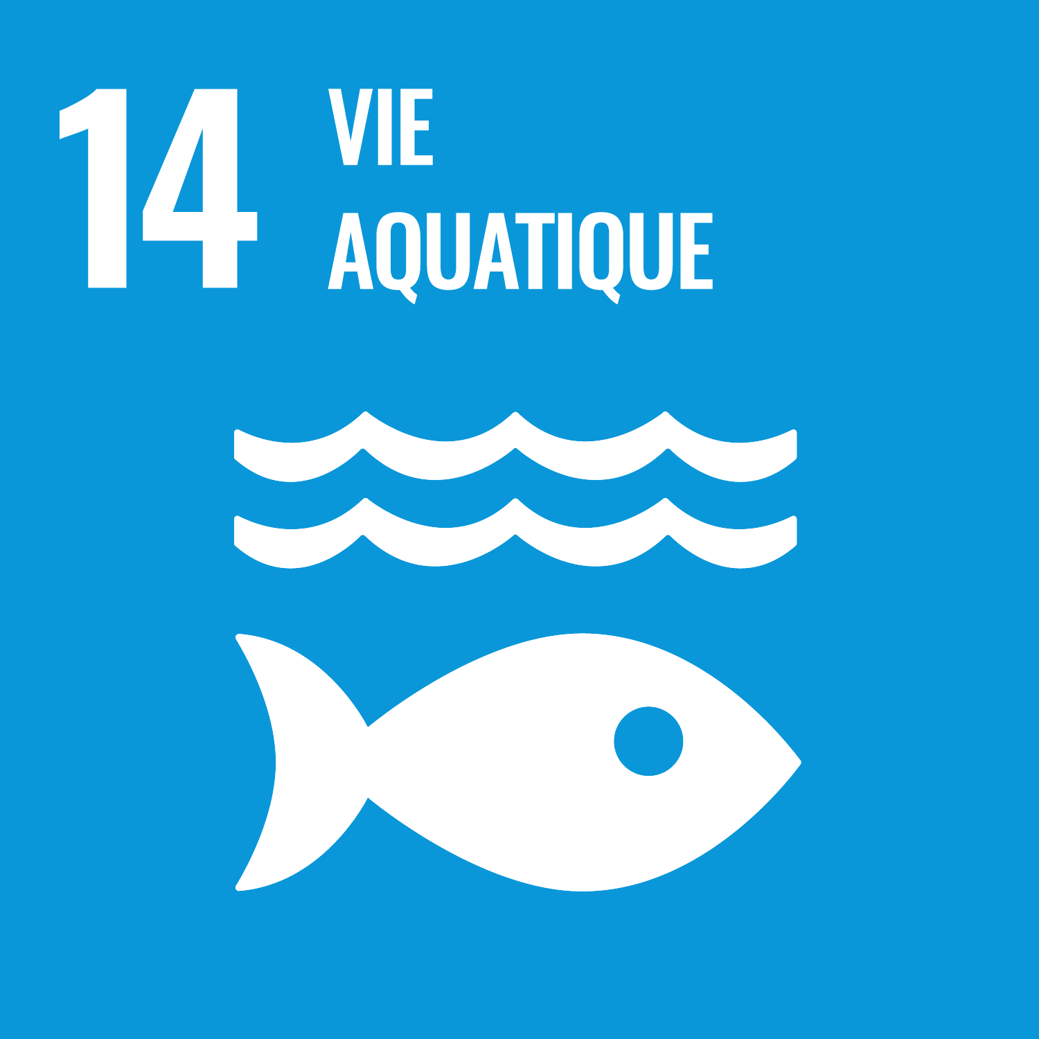 Vie Aquatique
